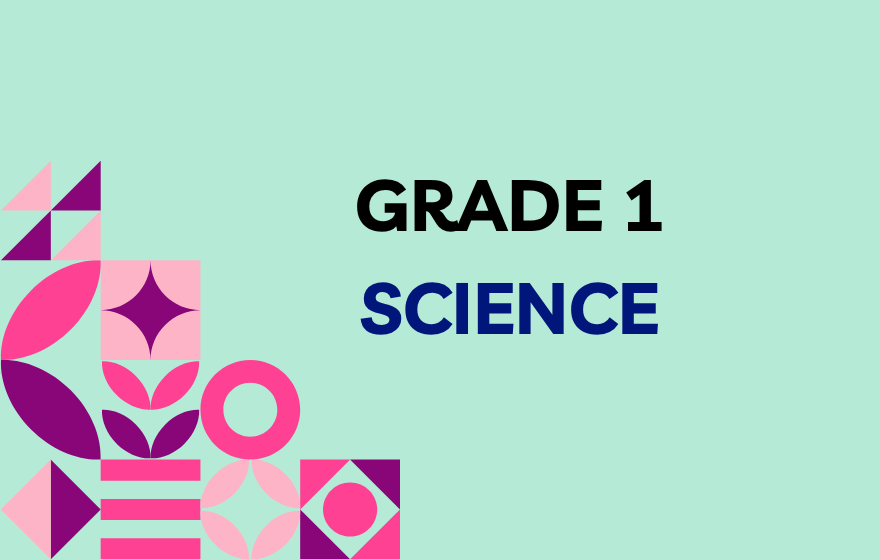 Course categories | AISE